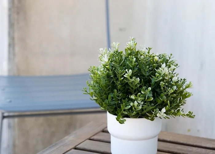 Ceuta Flat, Charming Balcony Over Rooftops