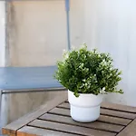 Ceuta Flat, Charming Balcony Over Rooftops