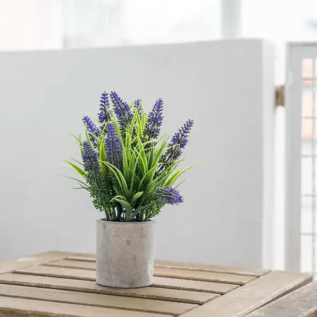 Daire Ceuta Flat, Charming Balcony Over Rooftops Porto